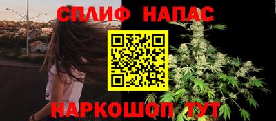 apvp Гатчина