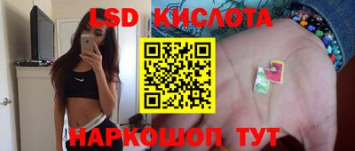 apvp Гатчина