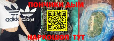 apvp Гатчина