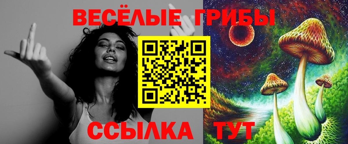 Псилоцибиновые грибы ЛСД  Вход с VPN  Псилоцибиновые грибы прущие грибы  Тимашёвск 