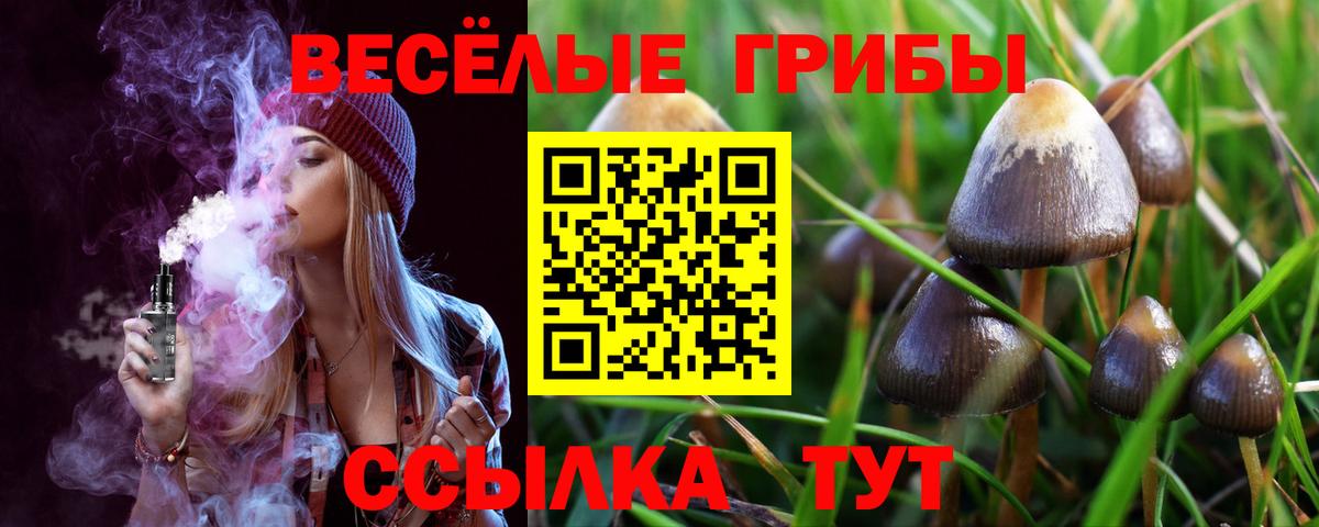 Галлюциногенные грибы GOLDEN TEACHER Тимашёвск